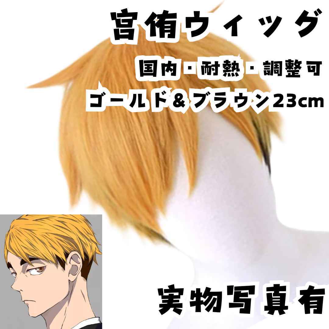 宮侑 ウィッグ カツラ ハイキュー!! 金茶 耐熱 国内23cm【残3】拍卖