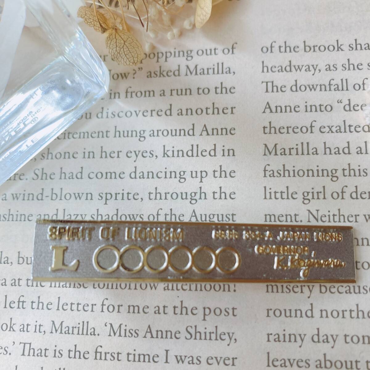 ヴィンテージタイピン タイバー ライオンズクラブ SPIRIT OF LIONISM JAPAN☆vintage jewelry accessoriesR0906拍卖