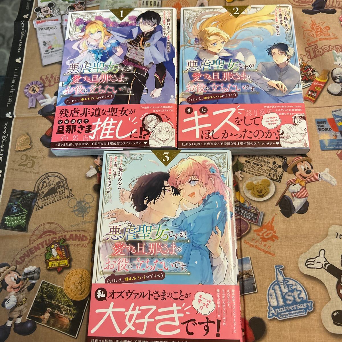 悪虐聖女ですが、愛する旦那さまのお役 全3巻 (ZERO-SUMコミックス) 雨川透子拍卖