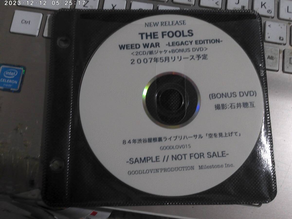 FOOLS フールズ / WEED WAR -LEGACY EDITION 非売品 CDR(渋谷屋根裏ライブ)+DVDR(渋谷屋根裏ライブリハーサル) ブルースビンボーズ 伊藤耕 拍卖