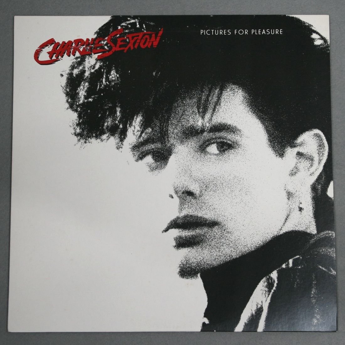 中古LP「PICTURES FOR PLEASURE / ピクチャーズ・フォー・プレジャー」チャーリー・セクストン CHRLIE SEXTON拍卖