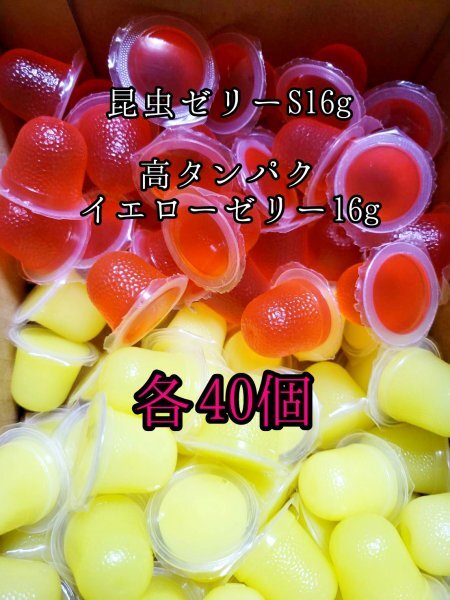 昆虫ゼリーS16g イエローゼリー16g 各40個 クワガタ カブトムシ オオクワガタ フクロモモンガ クワカブ プロゼリー拍卖