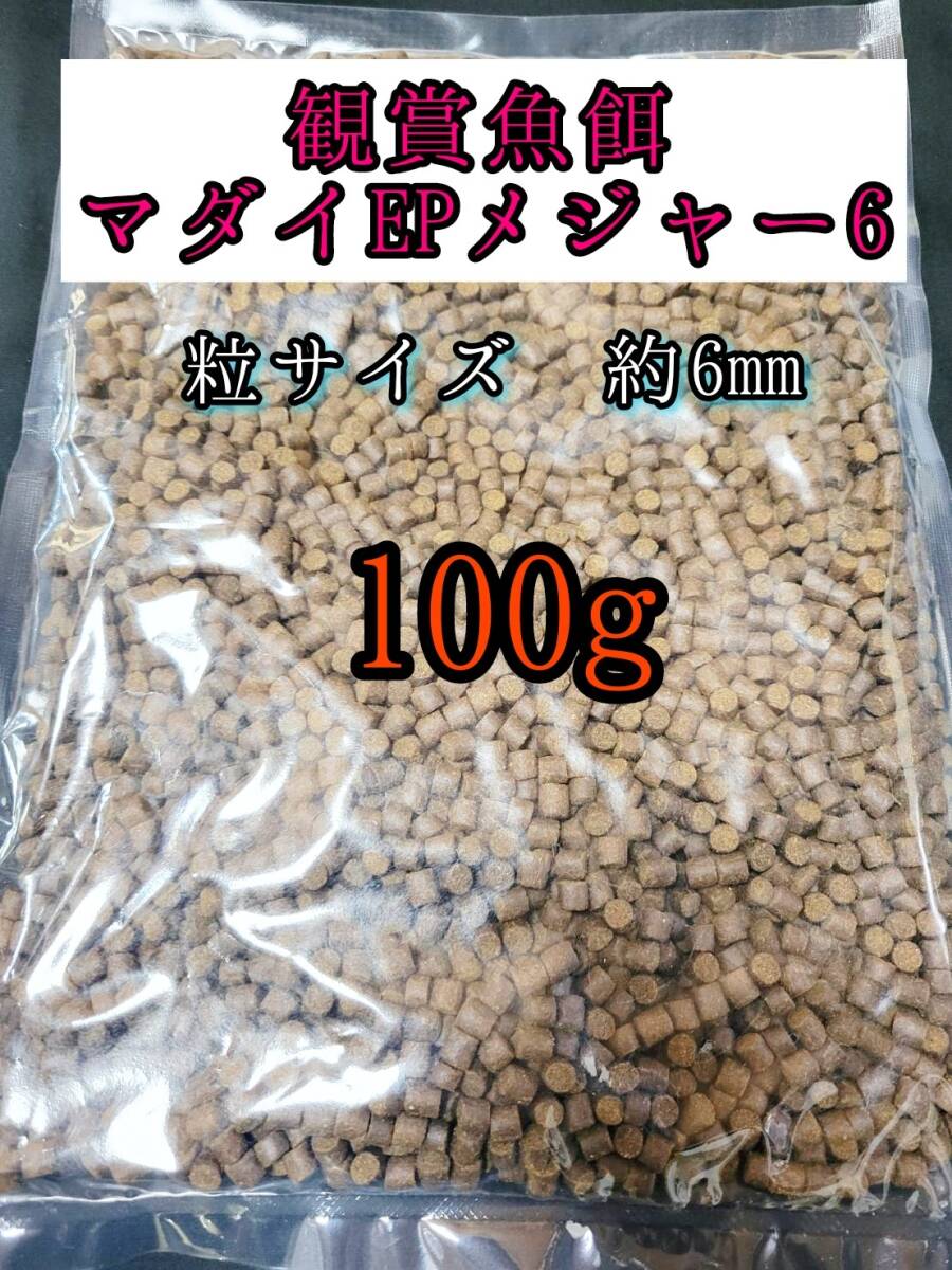 観賞魚の餌 マダイEPメジャー6 100g 金魚 熱帯魚 錦鯉 プレコ アロワナ ダトニオ おとひめ拍卖