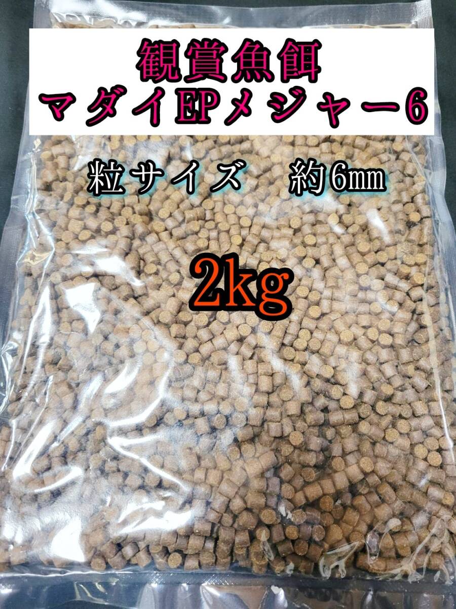 観賞魚の餌 マダイEPメジャー6 2kg 金魚 熱帯魚 錦鯉 プレコ アロワナ ダトニオ おとひめ拍卖
