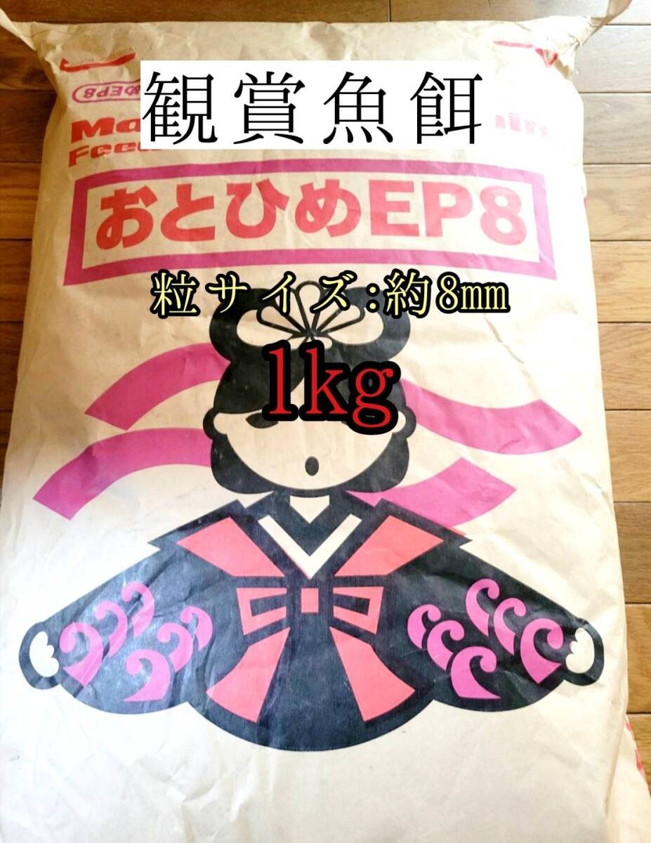 観賞魚の餌 約8mm おとひめEP8 1kg 日清丸紅飼料 熱帯魚 錦鯉 エイ 大型魚拍卖