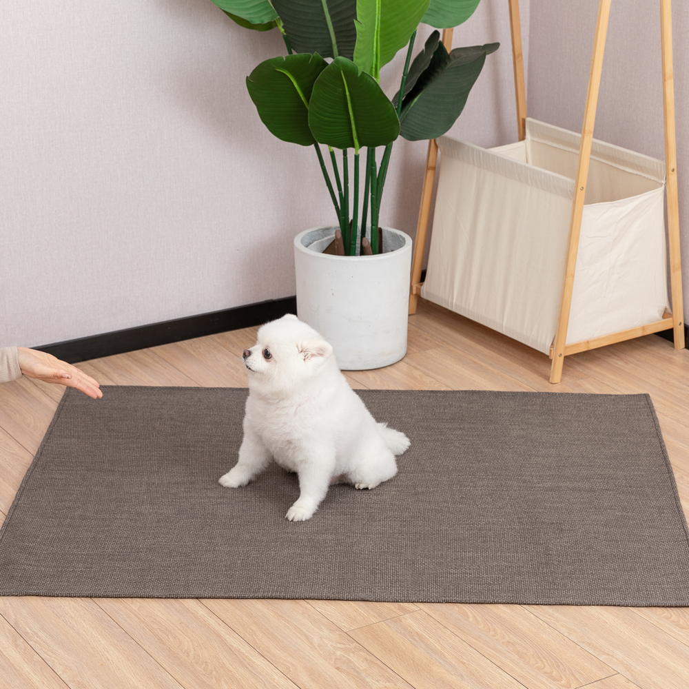 防水 撥水 マット スト-ンブラウン L サイズ 2枚入り 89×119cm ペットマット 滑り止め ラグ はっ水 カーペット拍卖