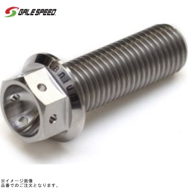 GALE SPEED ゲイルスピード SH1012530 チタン フランジボルト M10xP1.25 30mm(L) レーススペック拍卖