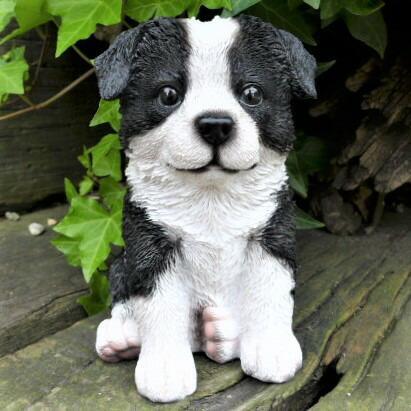 犬の置物 コリー 子犬 T14079 いぬ 動物 オーナメント ガーデン インテリア 雑貨 置物 ガーデンマスコット 雑貨小物拍卖