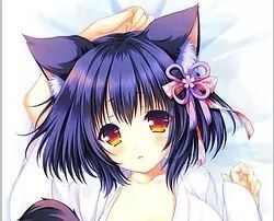 ねこツク、さくら。 豪華版特典 ツキ 抱き枕カバー/萌木原ふみたけ拍卖