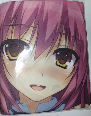 レミニセンス ソフマップ特典 抱き枕カバー /トモセシュンサク拍卖