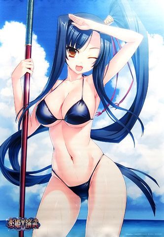 恋姫†演武 ソフマップ特典 関羽 B2タペストリー /恋姫†無双拍卖
