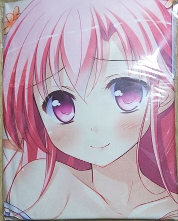 春風センセーション 宮月ハルカ ソフマップ特典 抱き枕カバー /こーちゃ拍卖