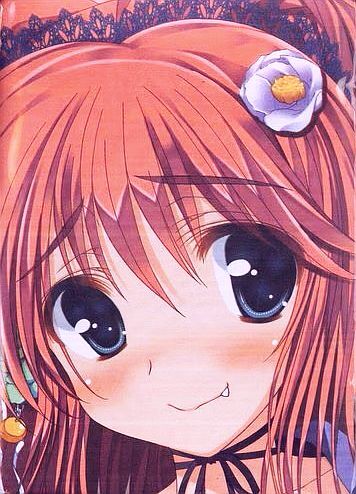 ナイものねだりはもうお姉妹 ソフマップ特典 七海&美咲 ベットシーツ拍卖