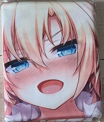 ノラと皇女と野良猫ハート2 ソフマップ特典 アイリス 抱き枕カバー/大空樹拍卖