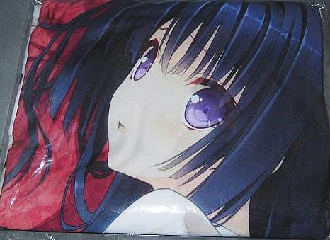 乙女理論とその周辺 ソフマップ特典 抱き枕カバー /鈴平ひろ拍卖