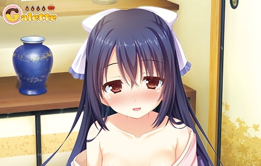お兄ちゃんティーチャー ソフマップ特典 B2タペストリー /未開封拍卖