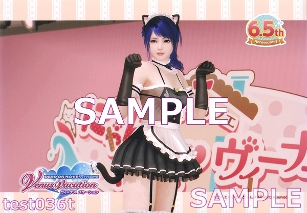 DEAD OR ALIVE Xtreme Venus Vacation 6.5周年 きまぐれニャンメイド ブロマイド ロベリア 未使用拍卖