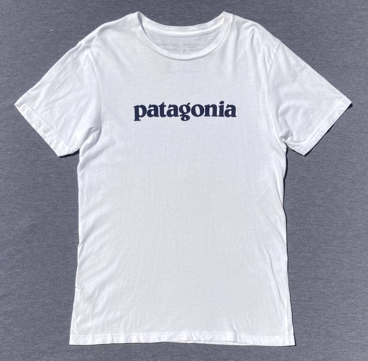 USA製 patagonia Tシャツ 染み込み SLIM FIT S パタゴニア アウトドア STY39154 SP18拍卖