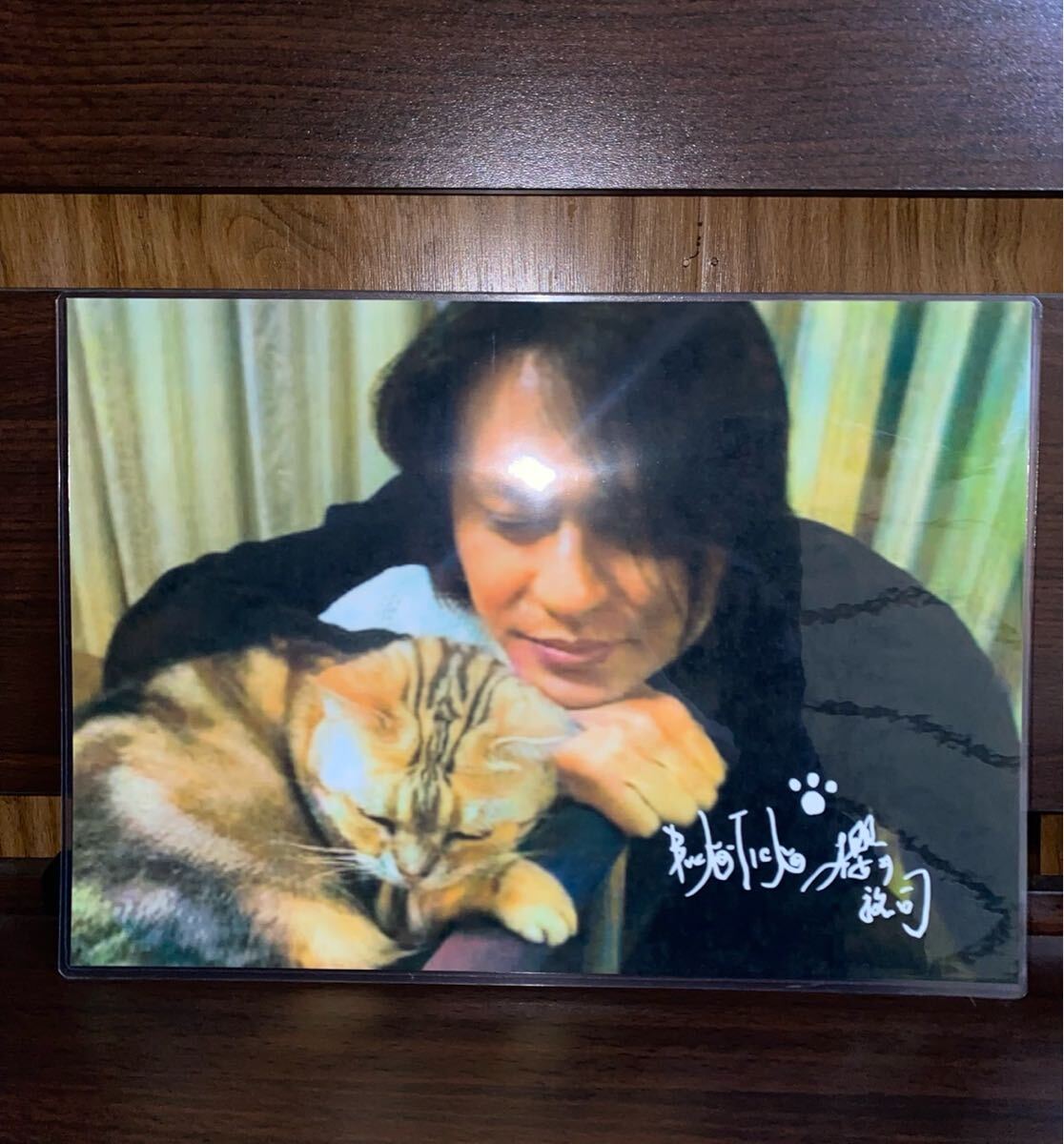 BUCK-TICK 櫻井敦司 ラミネート ハンドメイド品 A4拍卖