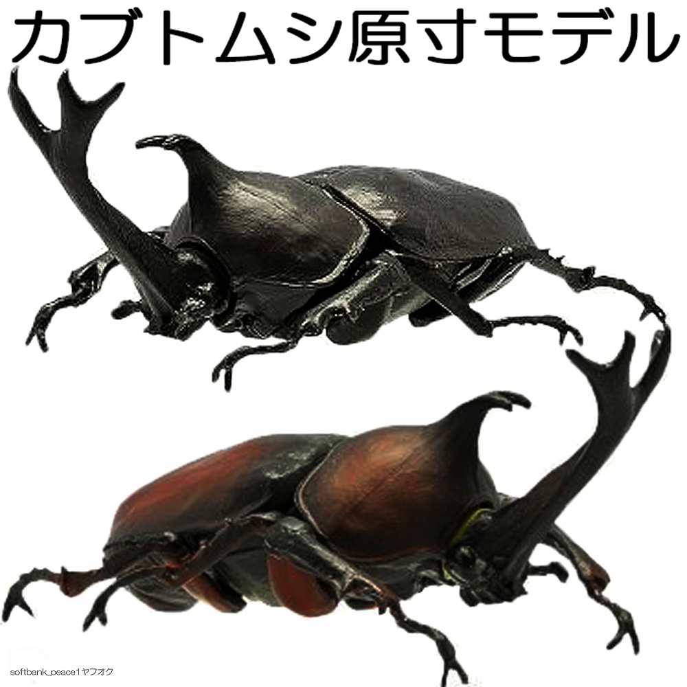 「 カブトムシ 2匹 茶 黒 オス 標本 オブジェ モデル 模型 実物大 成虫 」昆虫 フィギュア 限定品 可動 自在置物 現代アート拍卖
