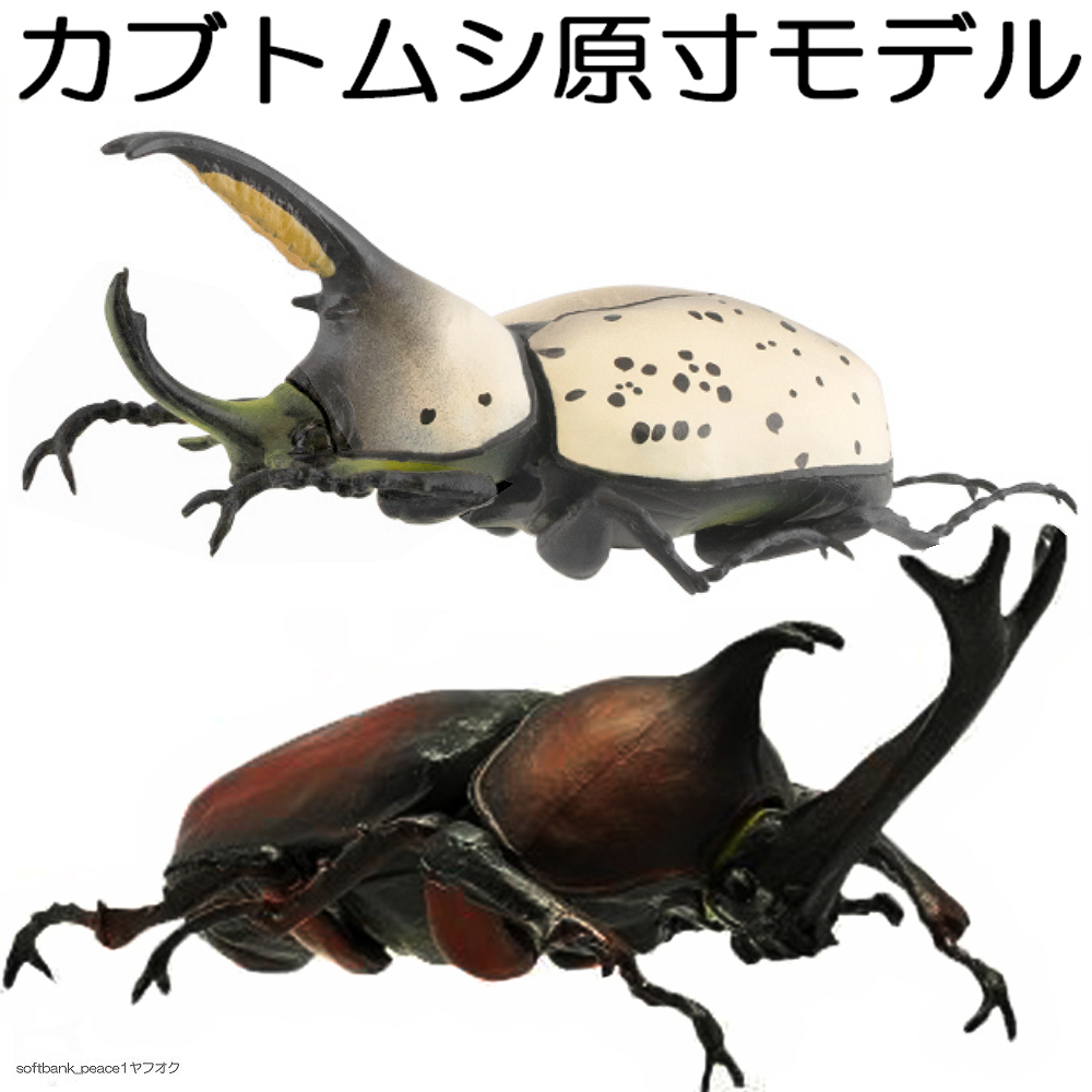 「 カブトムシ 茶 オス + グラントシロカブト 標本 モデル 模型 実物大 成虫 」昆虫 フィギュア 限定品 可動 模型 自在置物 完成品拍卖