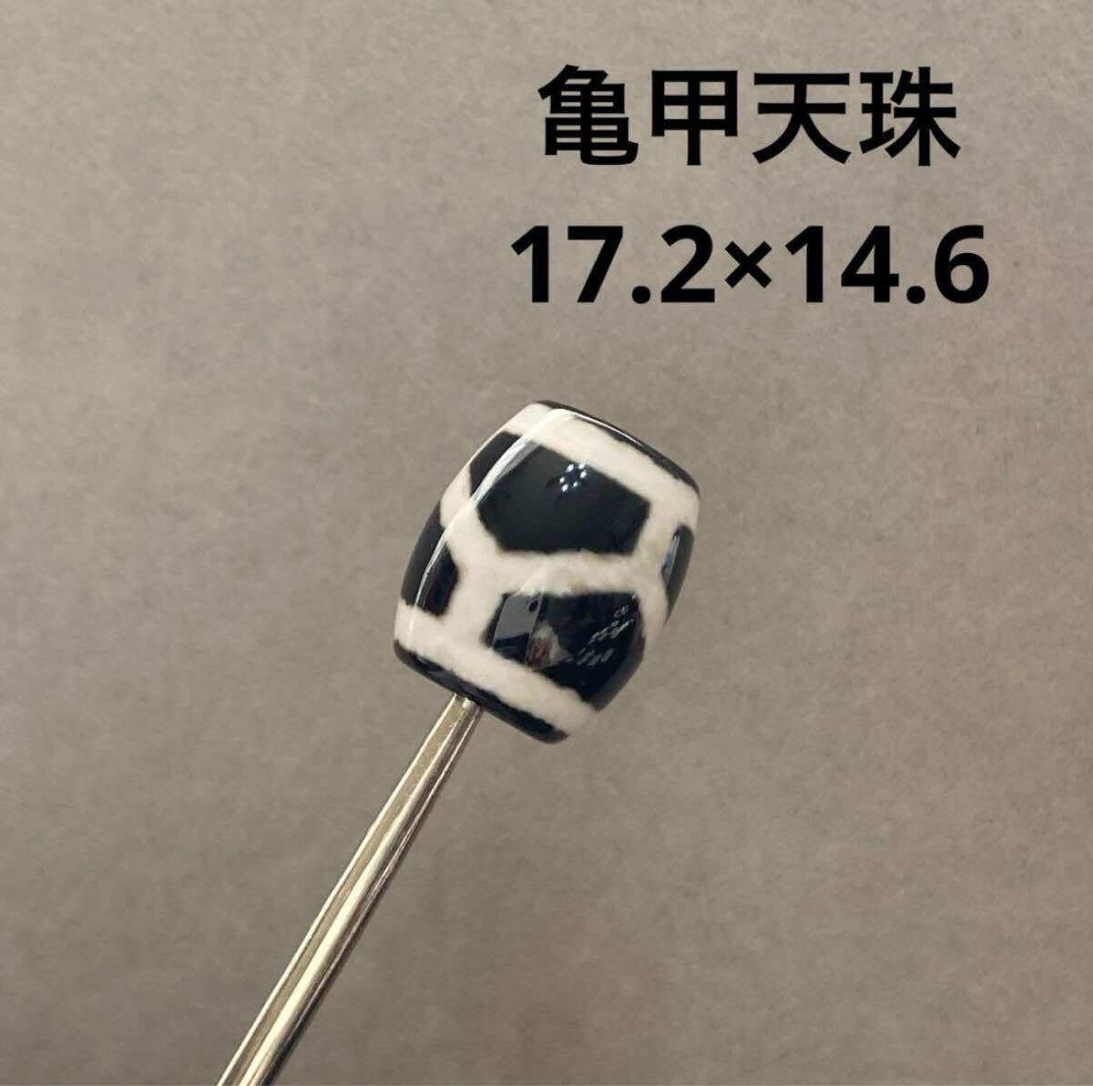 D671 亀甲天珠 17.2×14.6拍卖