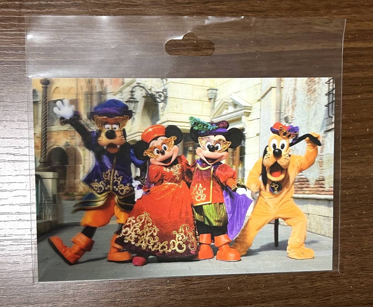 TDS ハロウィン2012 ポストカード 未使用拍卖