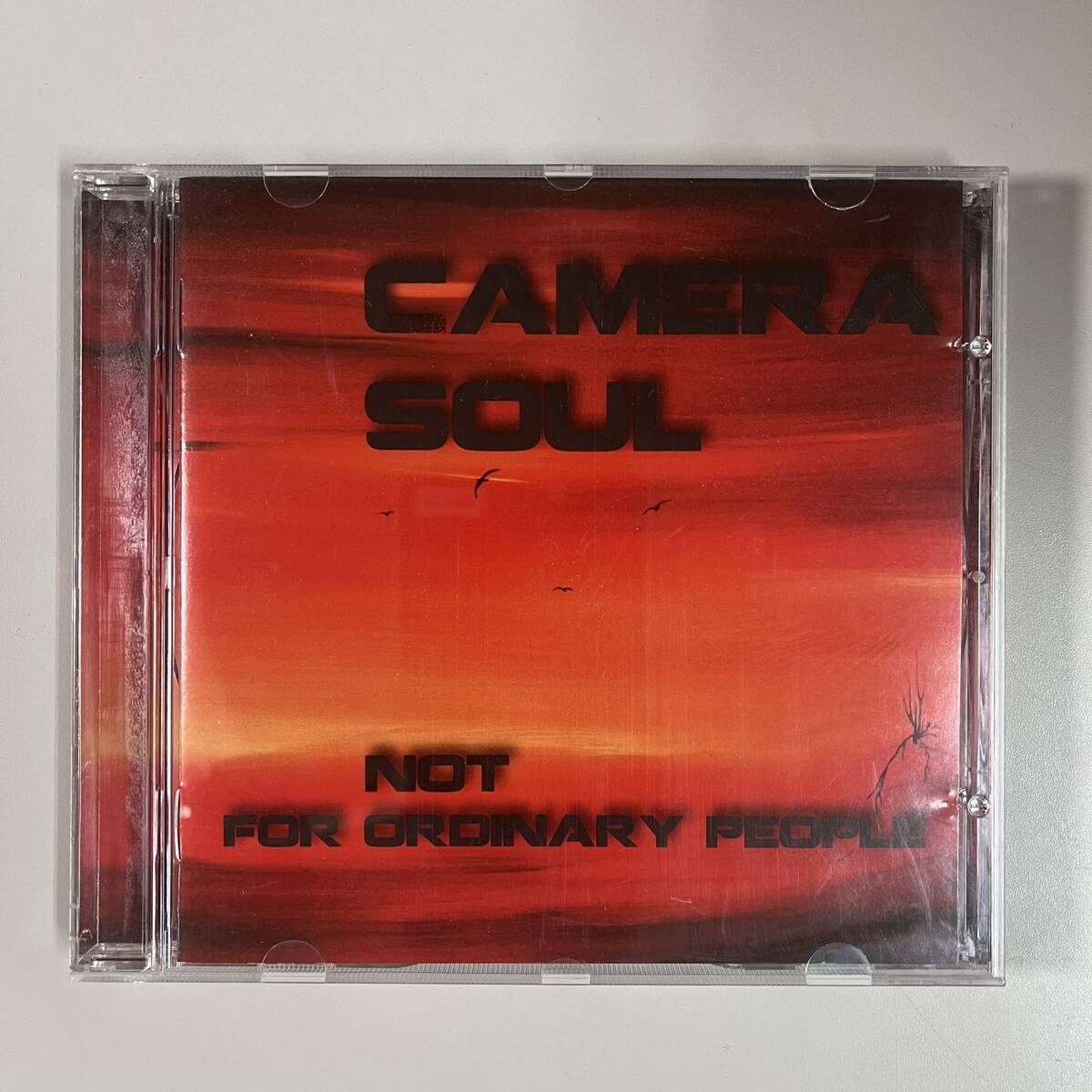 C9320 Camera Soul / Not For Ordinary People イタリア盤拍卖