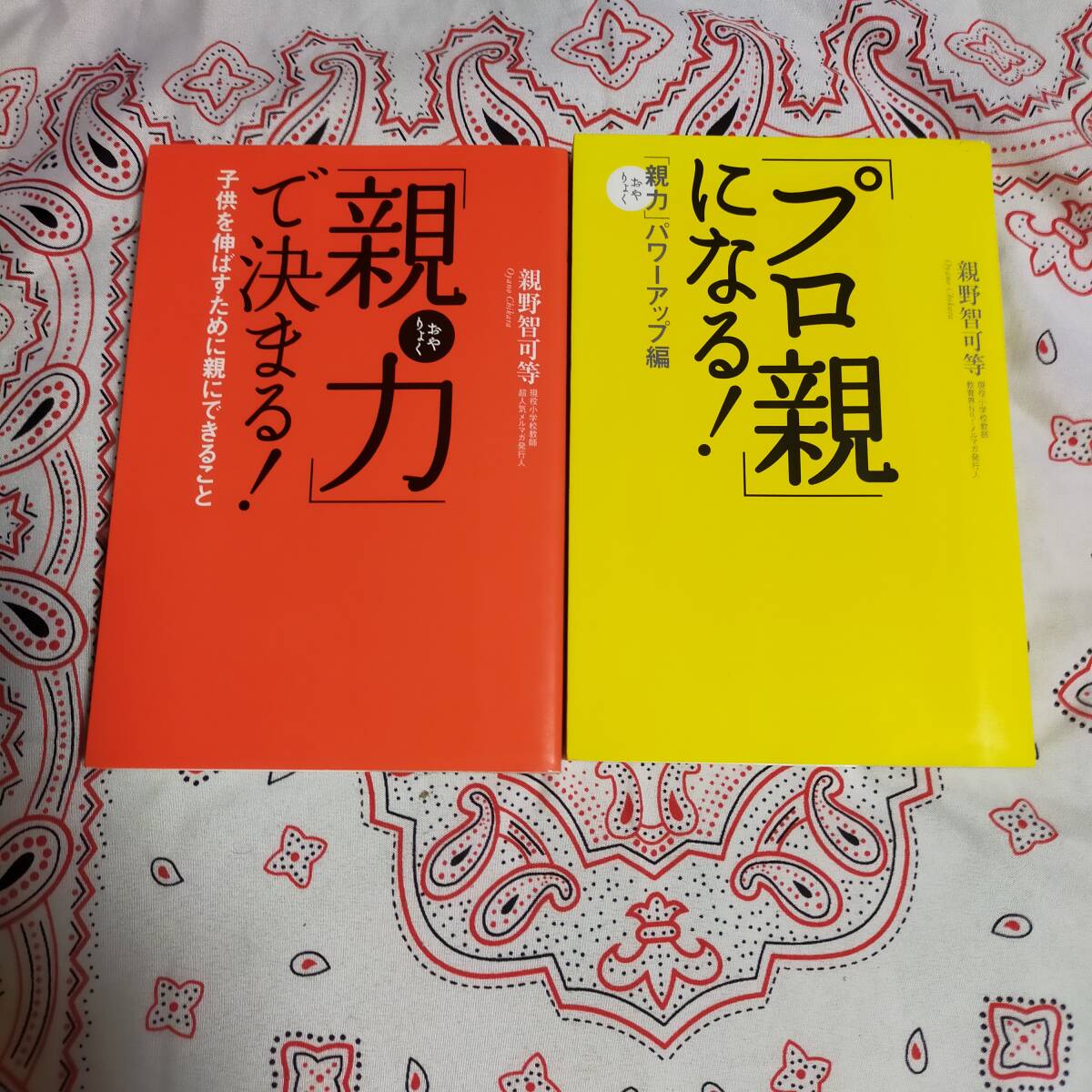 親力で決まる プロ親になる! 新野智可等 宝島社 拍卖