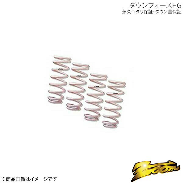 ダウンサス ダウンフォースHG フロントのみ シトロエン ZX N2RF 1991.09~ エンジン型式: RF ZOOM ズーム ZCI007005FHG拍卖