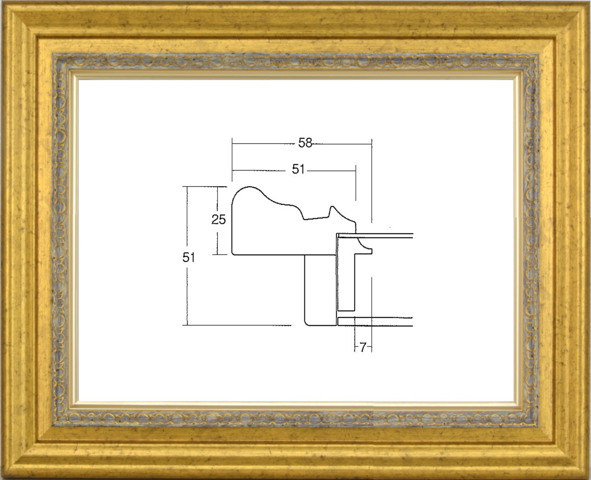 額縁 油絵/油彩額縁 UVカットアクリル付 8164 F20号 ゴールド拍卖