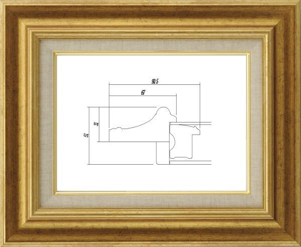 額縁 油絵/油彩額縁 UVカットアクリル付 8117 F20号 ゴールド 金拍卖