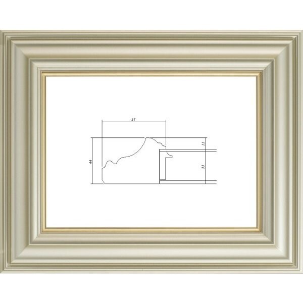 額縁 油絵/油彩額縁 樹脂製フレーム 3455N UVカットアクリル付 サイズ F6号 シャンペン ゴールド拍卖