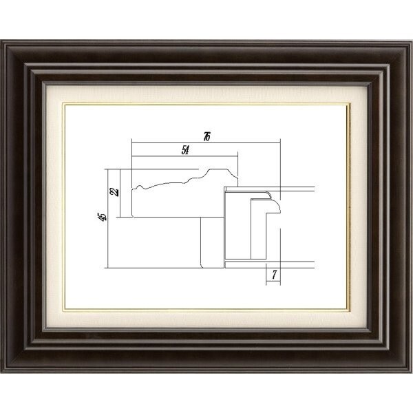 額縁 油絵用 木製フレーム アクリル付 7741 サイズ F6号 コクタン拍卖