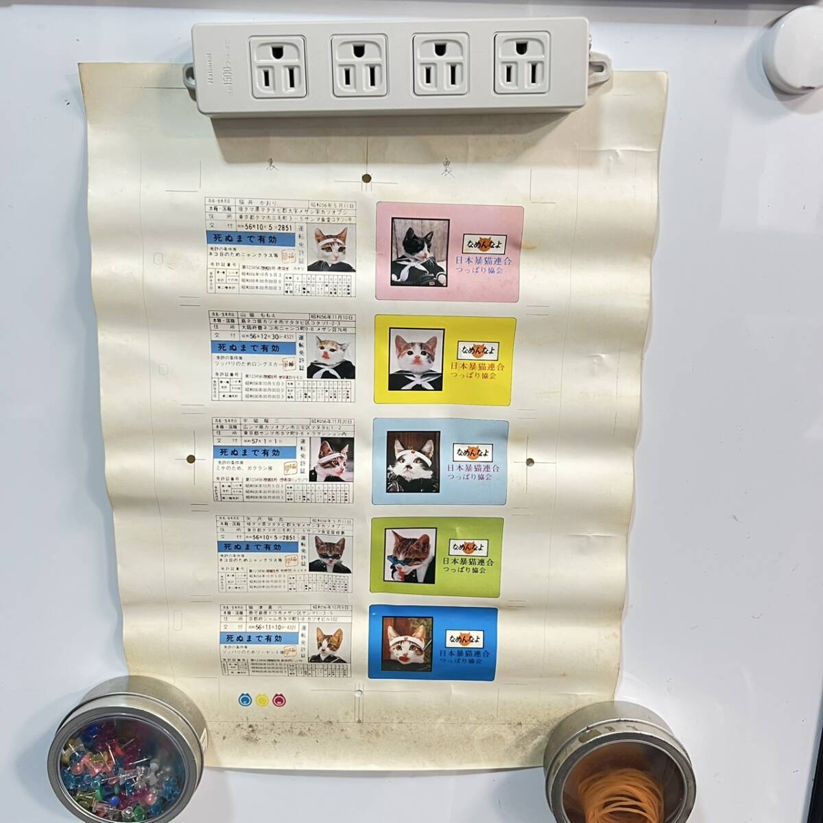 【珍品】なめ猫 免許証 印刷シート 未切り離し 汚れあり 現状品 駄菓子屋 おもちゃ 昭和レトロ キャラクター グッズ 当時物 管理:B中段拍卖