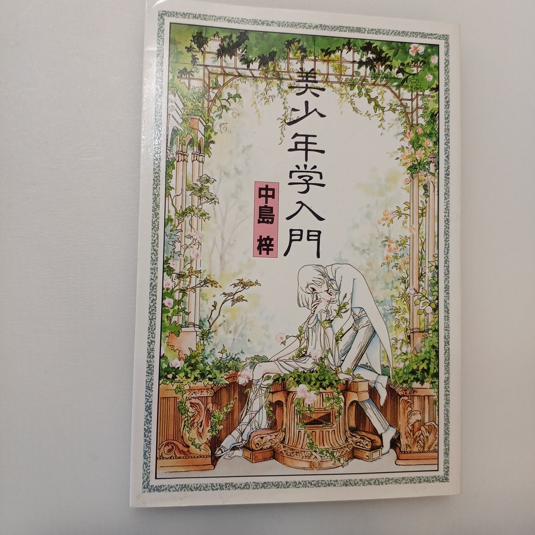 zaa-643♪「美少年学入門」 中島 梓 (著) カバー絵=武宮惠子新書館 1984年6月25日*初版拍卖