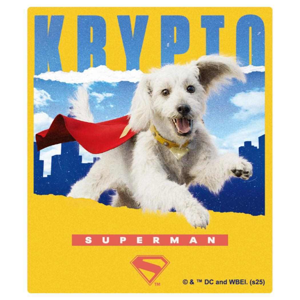 SUPERMAN スーパーマン ダイカットシール ミニステッカー C DCコミック インロック コレクション雑貨 映画キャラクター拍卖