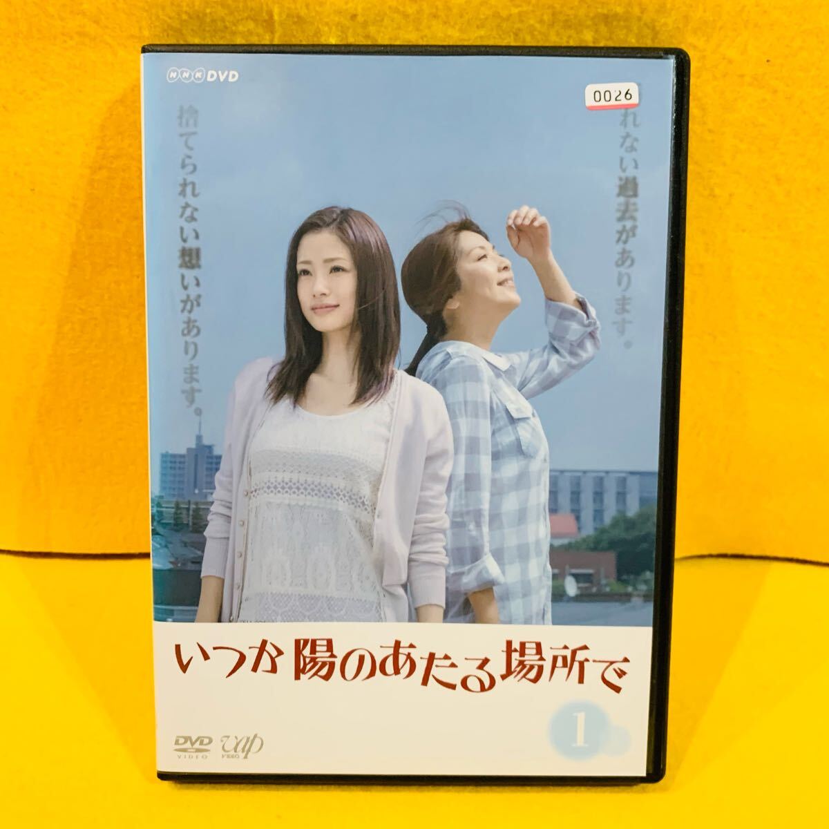 【新品ケース収納】 いつか陽のあたる場所で DVD 全5巻 全巻セット上戸彩 飯島直子拍卖
