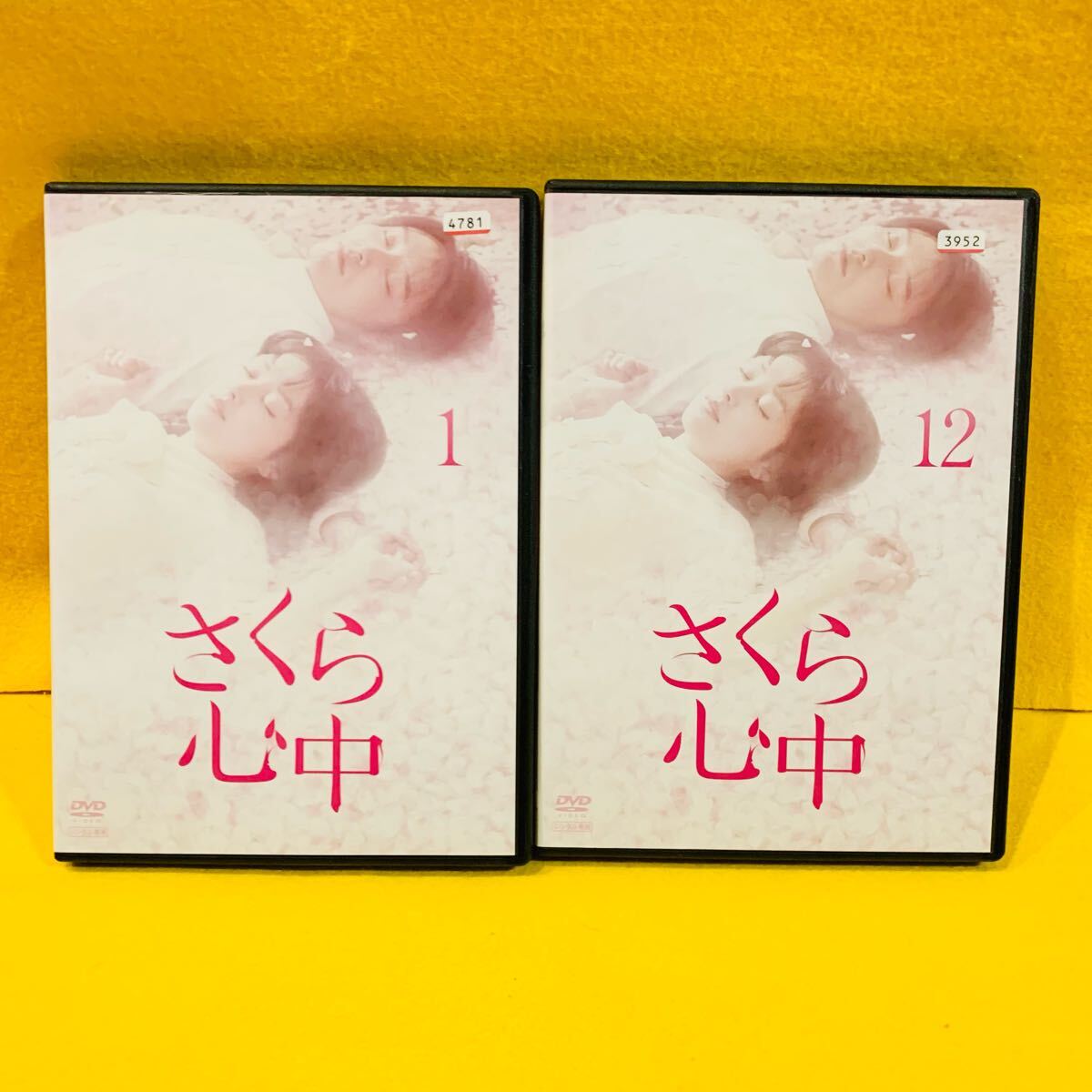 【新品ケース収納】さくら心中 DVD 全12巻 全巻セット 笛木優子 徳山秀典 レンタル落ち拍卖