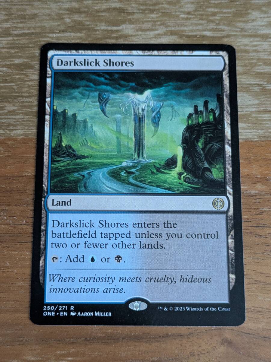 マジック:ザ・ギャザリング 闇滑りの岸 英語版拍卖