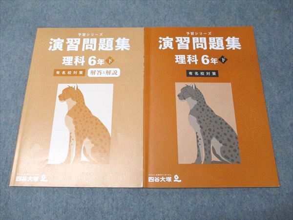 四谷大塚 小6年 予習シリーズ 演習問題集 理科 有名校対策 下 440618-2 2023 013S2B拍卖