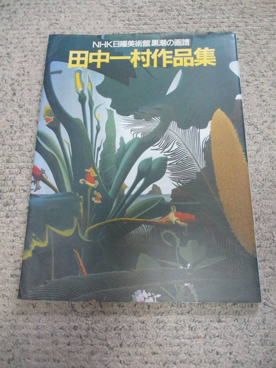 田中一村作品集拍卖