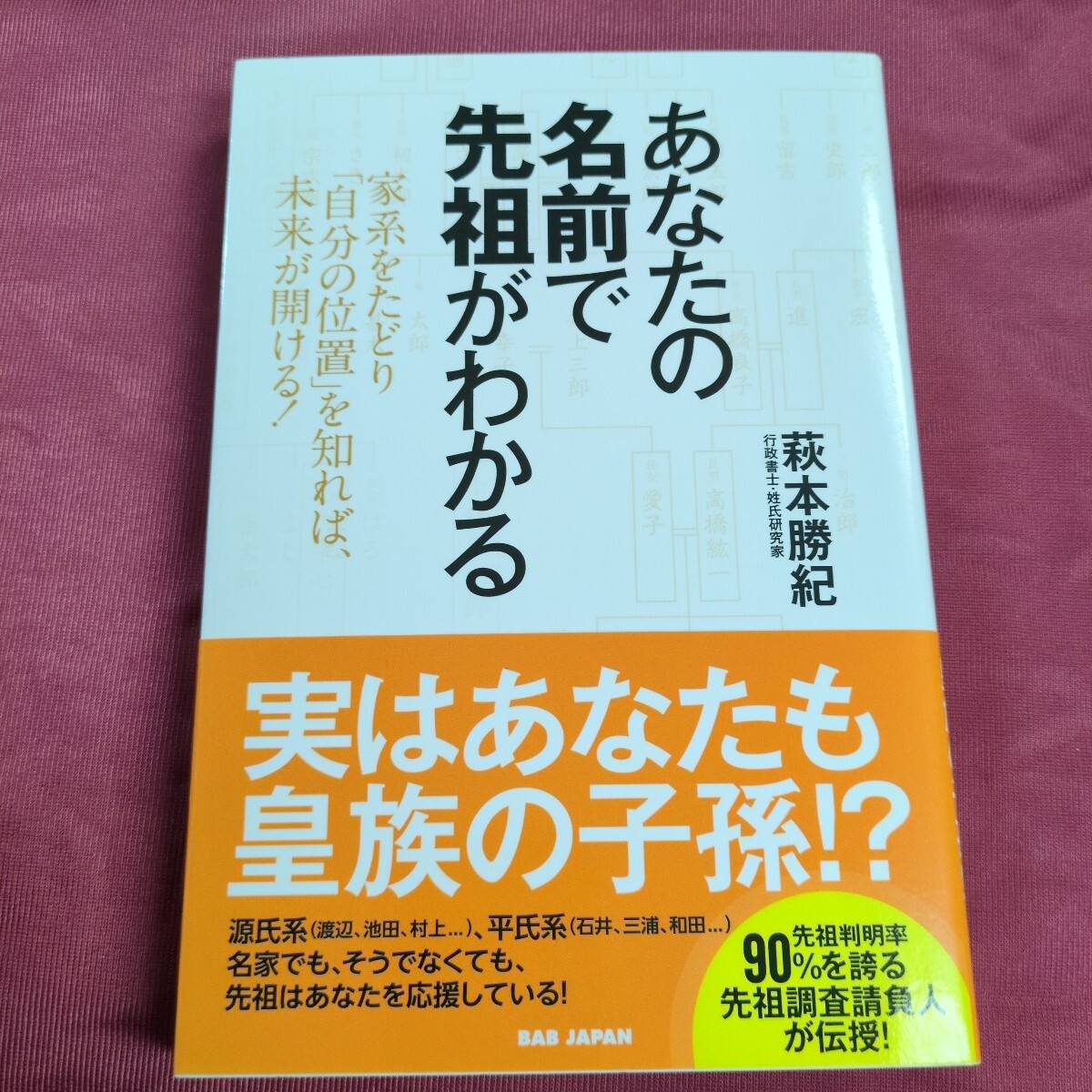 あなたの名前で先祖がわかる 家系をたどり「自分の位置」を知れば、未来が開ける! 萩本勝紀/著拍卖