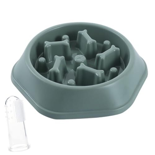 I'm so happy 早食い防止 食器 犬 小型犬 中型犬 大型犬 猫 餌入れ ご飯皿 陶器 ペットボウル (グリー拍卖