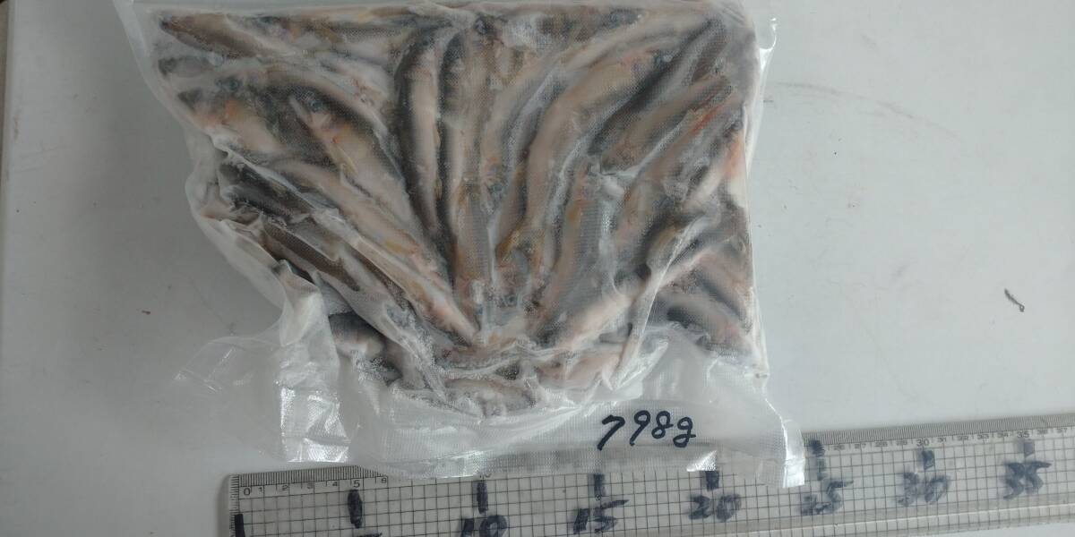 「p_mint」◇鮮度抜群!!2025年産・天然子鮎 798g 7/9(水)投網捕獲 岐阜県根尾川産 ヤマト60サイズ冷凍便発送。◯即決!!拍卖