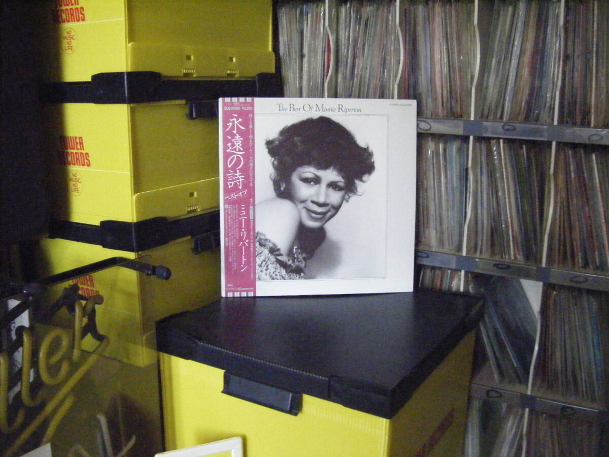 Y-231 ミニーリパートン 永遠の詩 (帯付) ベスト 拍卖