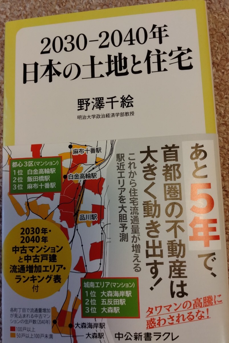 2030-2040年 日本の土地と住宅 野澤千絵著 中公新書ラクレ拍卖