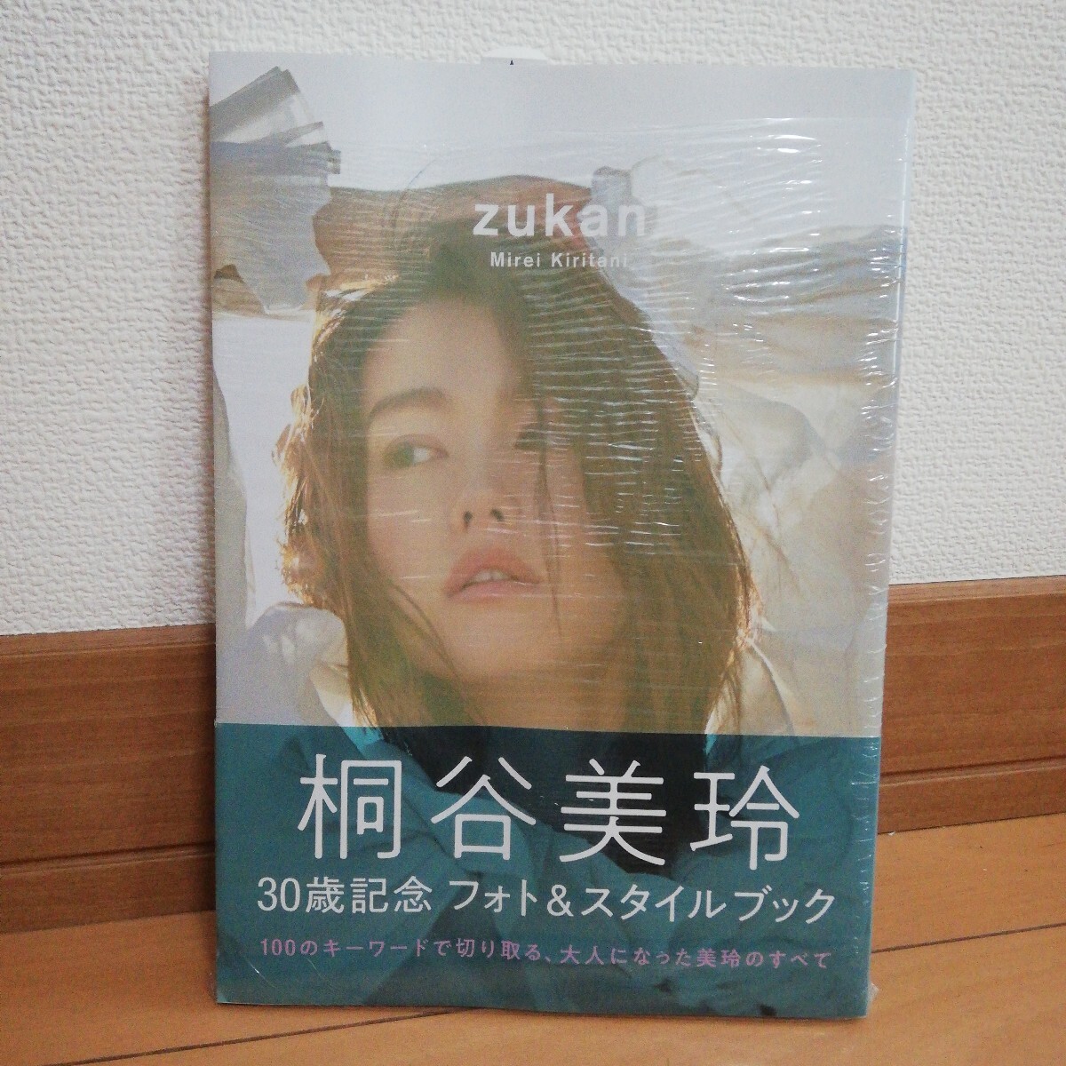 (未開封品)桐谷美玲 フォト& スタイルブック「zukan」拍卖