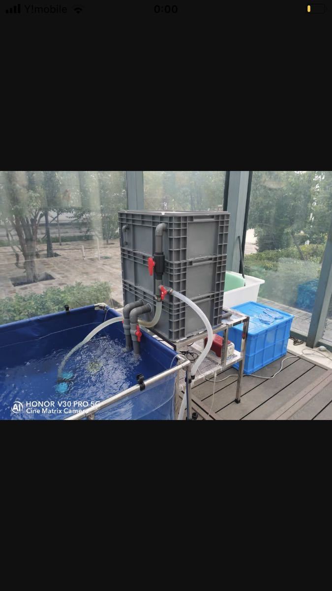 物理濾過生物濾過一体式、万能濾過槽、外部式飼育濾過装置池大型水槽用ビニープール濾過装置(大)当日発送送料込み拍卖