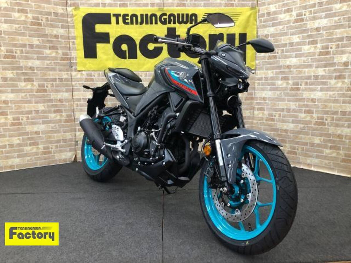 【新車】MT-25 250cc ネイキッド 即納対応 全国通販可能 ローン最長120回拍卖